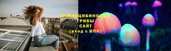 дмт Арсеньев