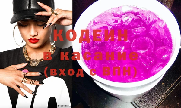 шишки Корсаков