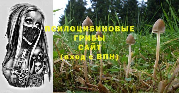 a pvp Армянск