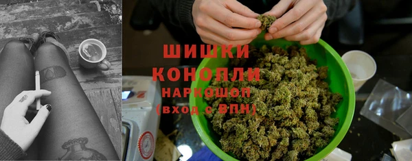 дмт Арсеньев