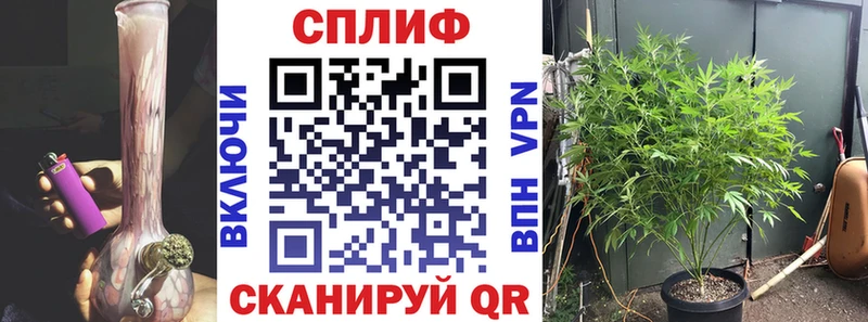 Бошки Шишки MAZAR Боровск
